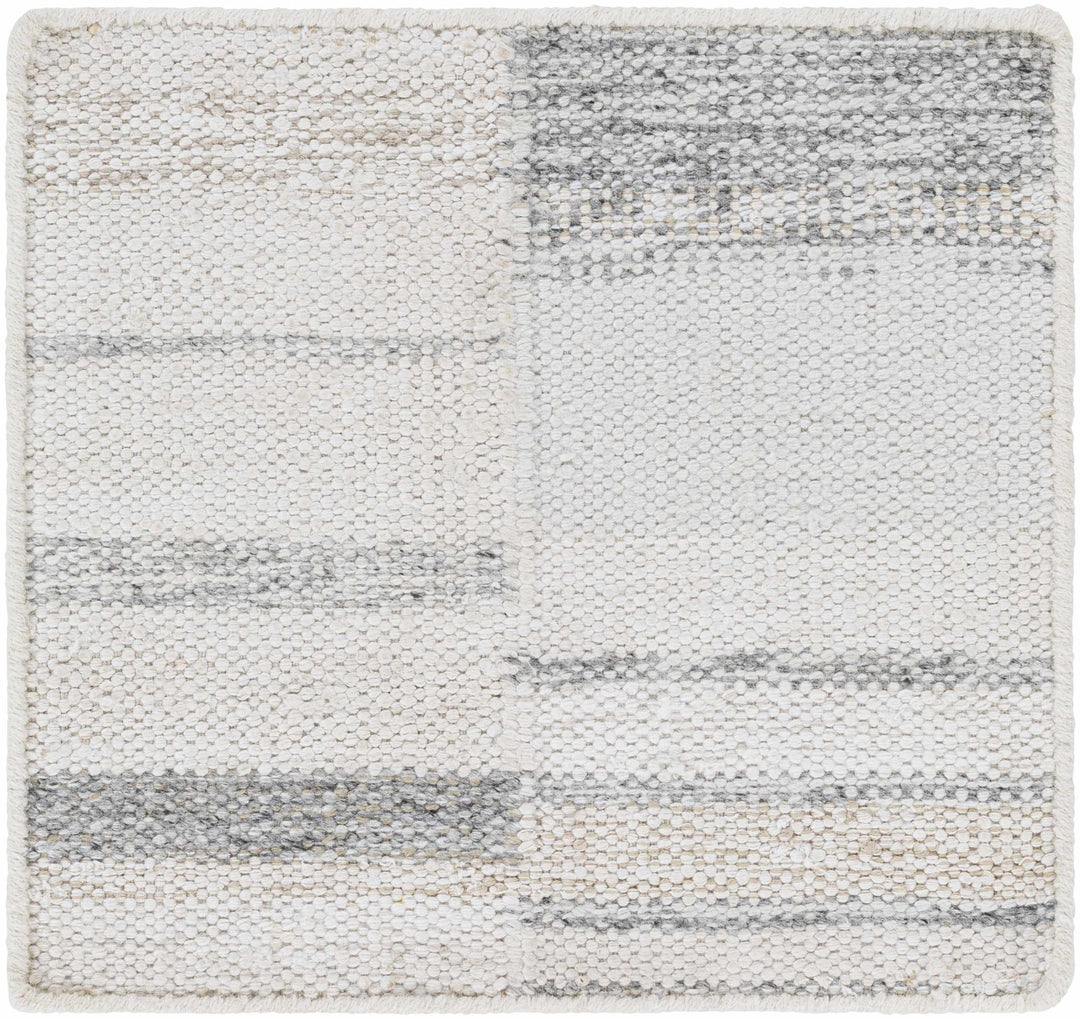Hantsport Modern Style Ivory And Gray Hand Woven Area Rug - The Rug Decor
