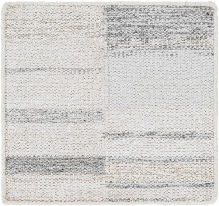 Hantsport Modern Style Ivory And Gray Hand Woven Area Rug - The Rug Decor