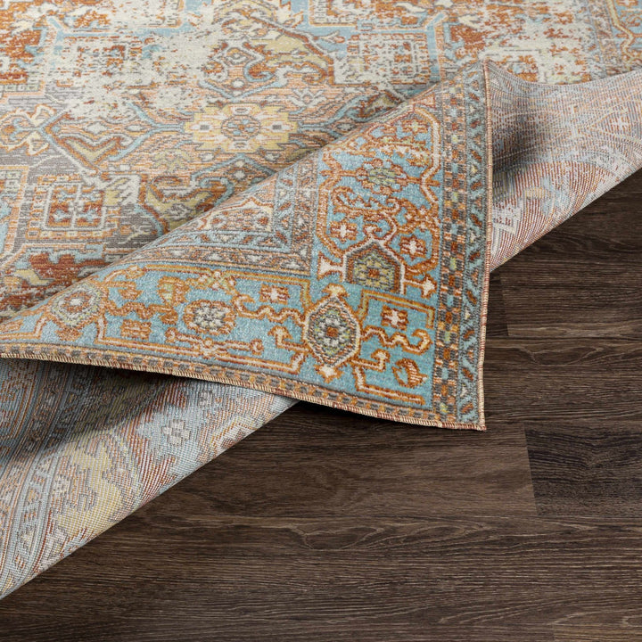 Hardwick Rust And Blue Traditional Style Outdoor Area Rug - The Rug Decor