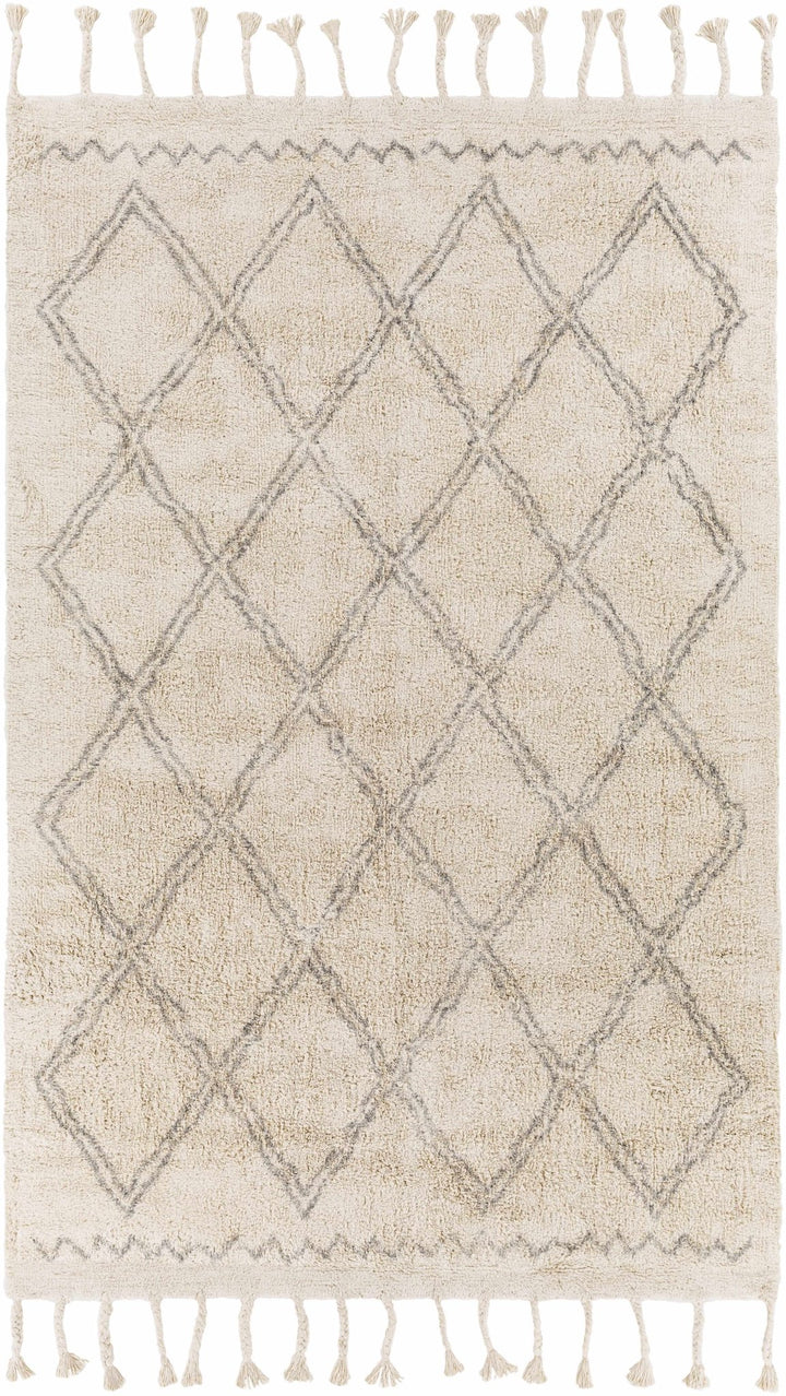Harvester Beige Modern Geometrical Design Hand Woven Area Rug - The Rug Decor