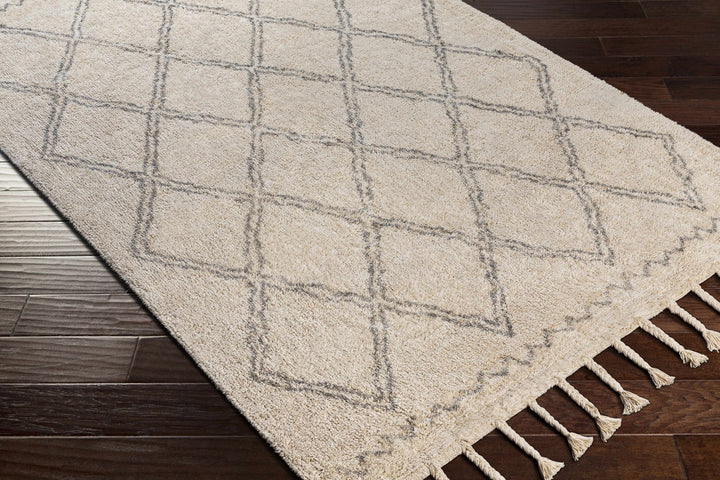 Harvester Beige Modern Geometrical Design Hand Woven Area Rug - The Rug Decor