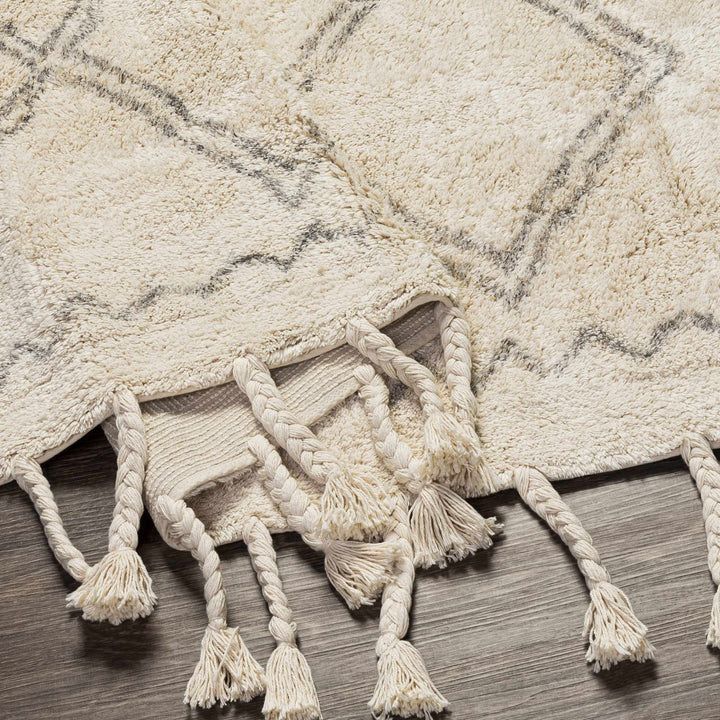 Harvester Beige Modern Geometrical Design Hand Woven Area Rug - The Rug Decor