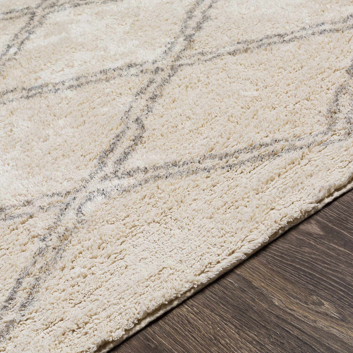 Harvester Beige Modern Geometrical Design Hand Woven Area Rug - The Rug Decor