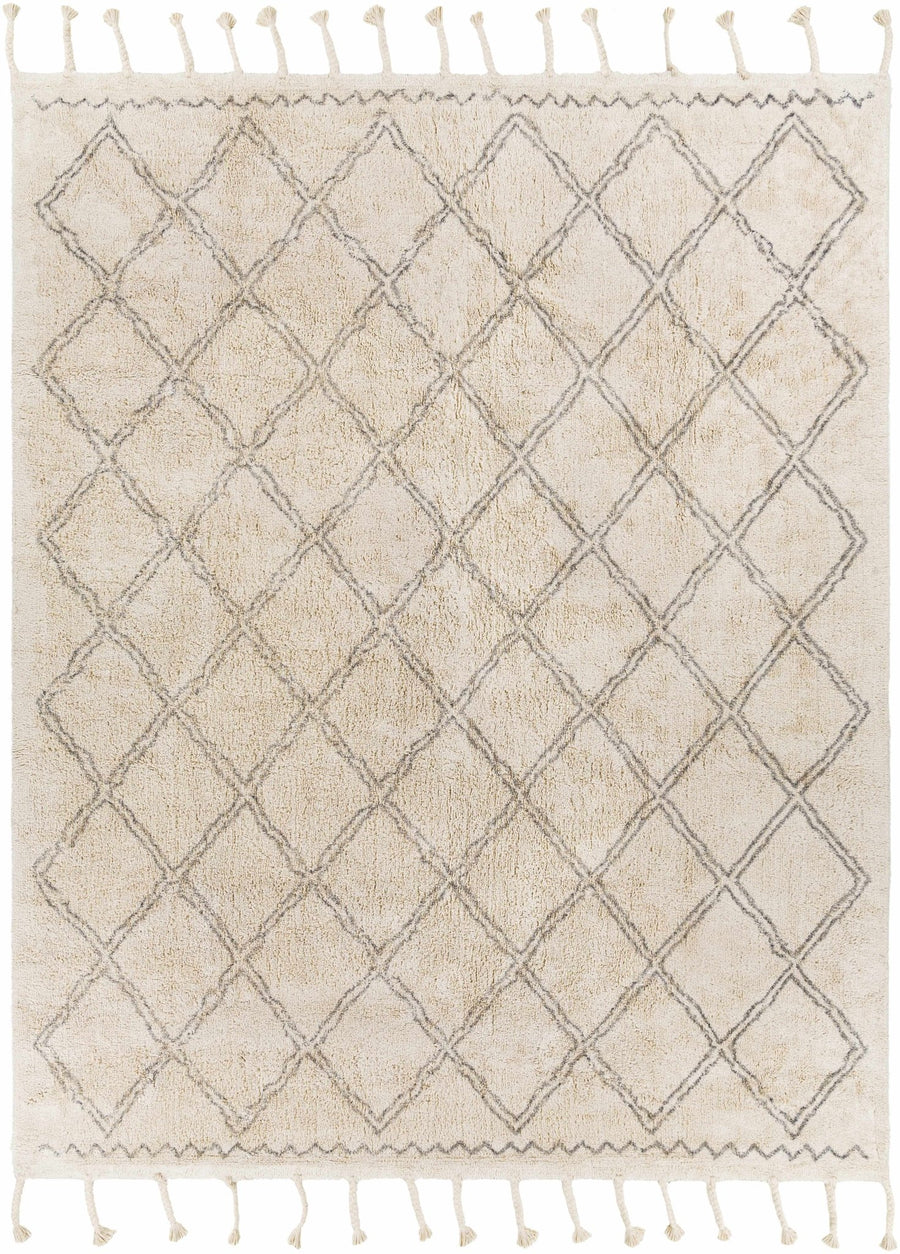 Harvester Beige Modern Geometrical Design Hand Woven Area Rug - The Rug Decor
