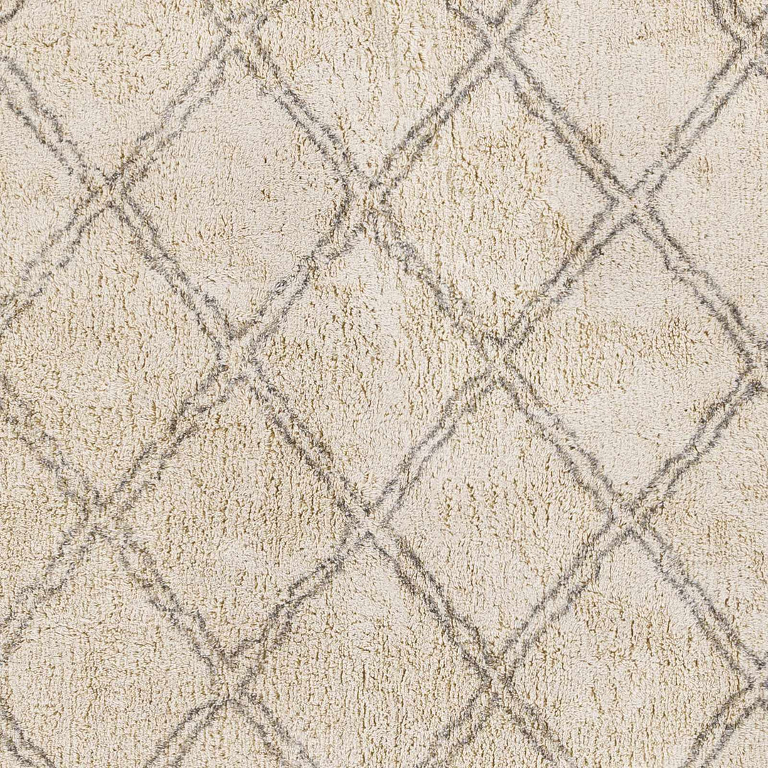 Harvester Beige Modern Geometrical Design Hand Woven Area Rug - The Rug Decor