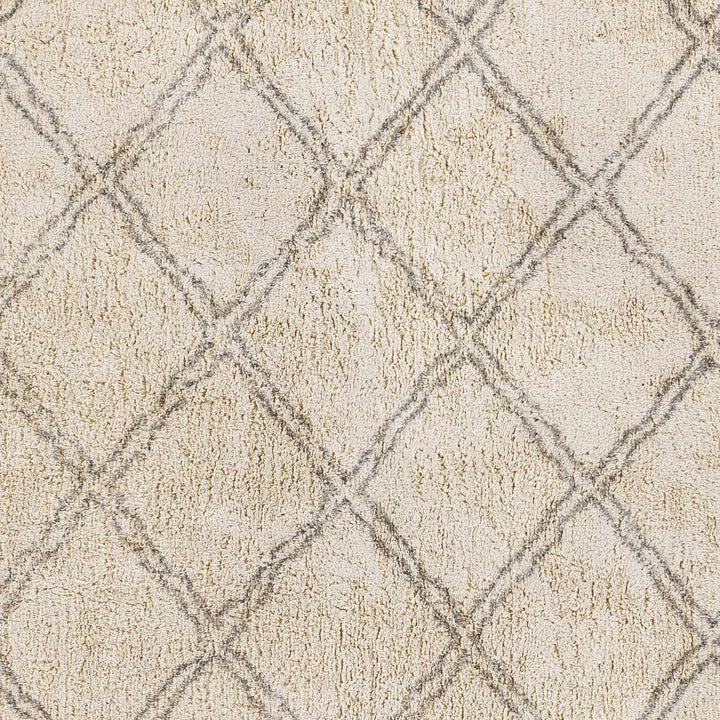 Harvester Beige Modern Geometrical Design Hand Woven Area Rug - The Rug Decor
