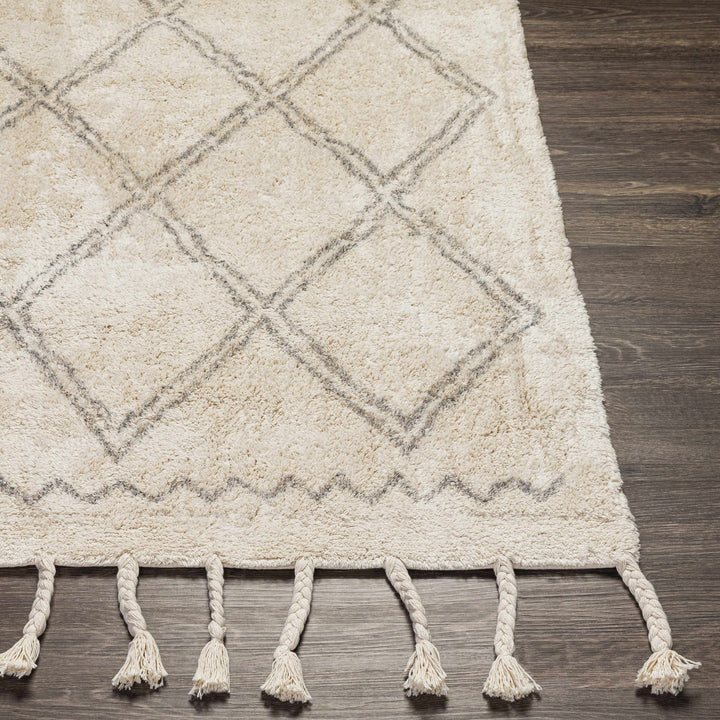 Harvester Beige Modern Geometrical Design Hand Woven Area Rug - The Rug Decor