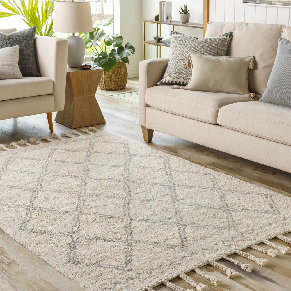 Harvester Beige Modern Geometrical Design Hand Woven Area Rug - The Rug Decor