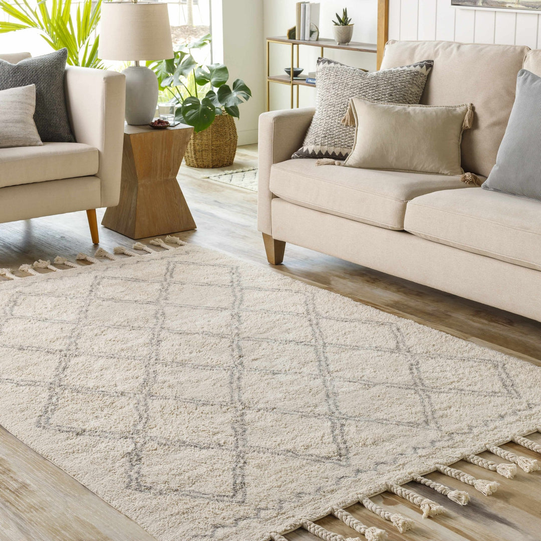 Harvester Beige Modern Geometrical Design Hand Woven Area Rug - The Rug Decor