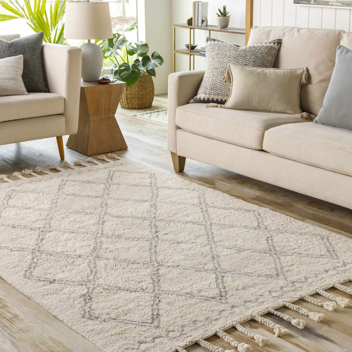 Harvester Beige Modern Geometrical Design Hand Woven Area Rug - The Rug Decor