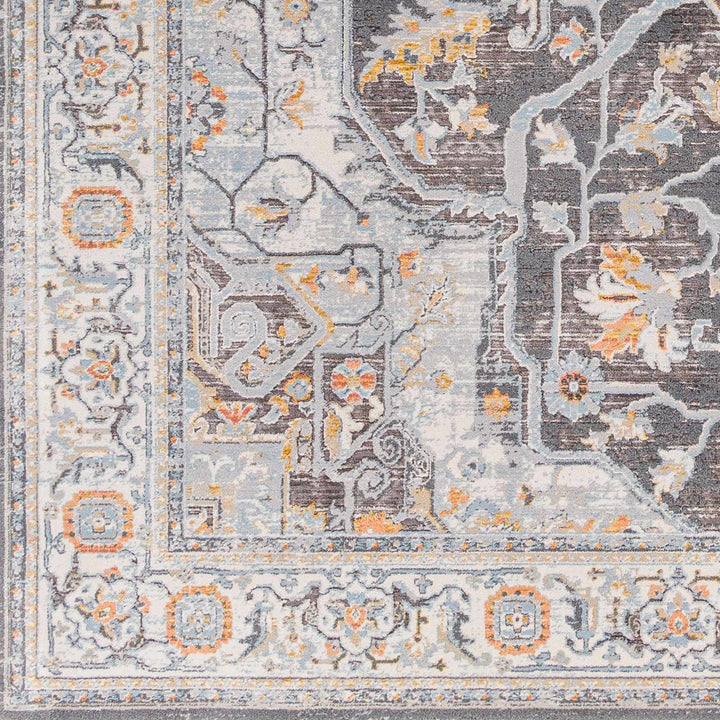 Hayfa Traditional Medallion Design Gray Area Rug - The Rug Decor