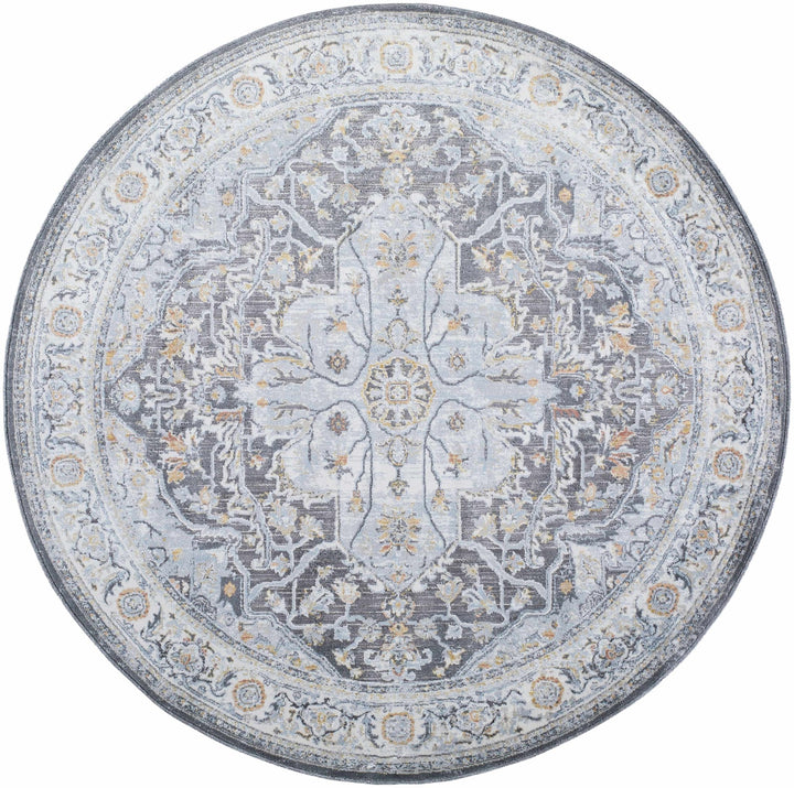 Hayfa Traditional Medallion Design Gray Area Rug - The Rug Decor