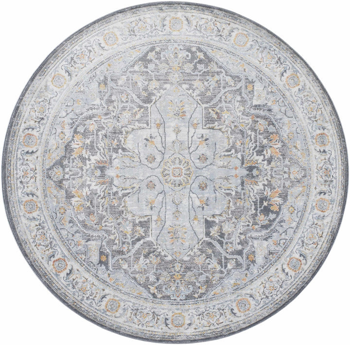 Hayfa Traditional Medallion Design Gray Area Rug - The Rug Decor