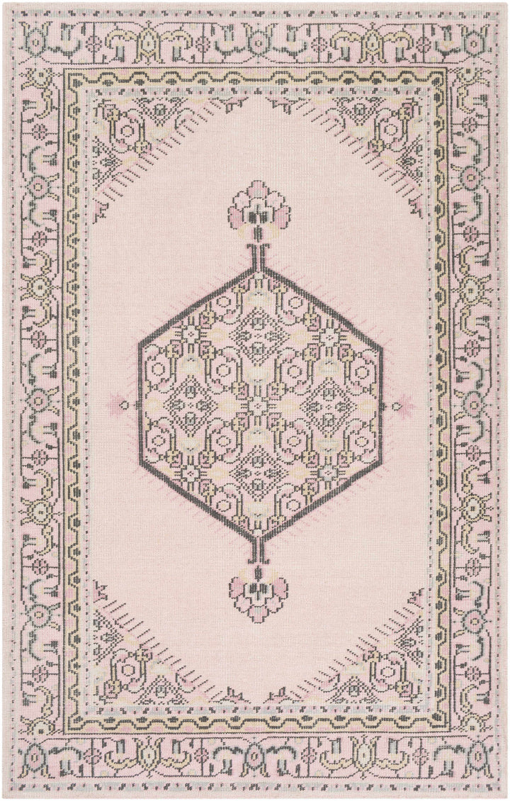 Hickson Traditional Style Pink Hand Knotted Area Rug