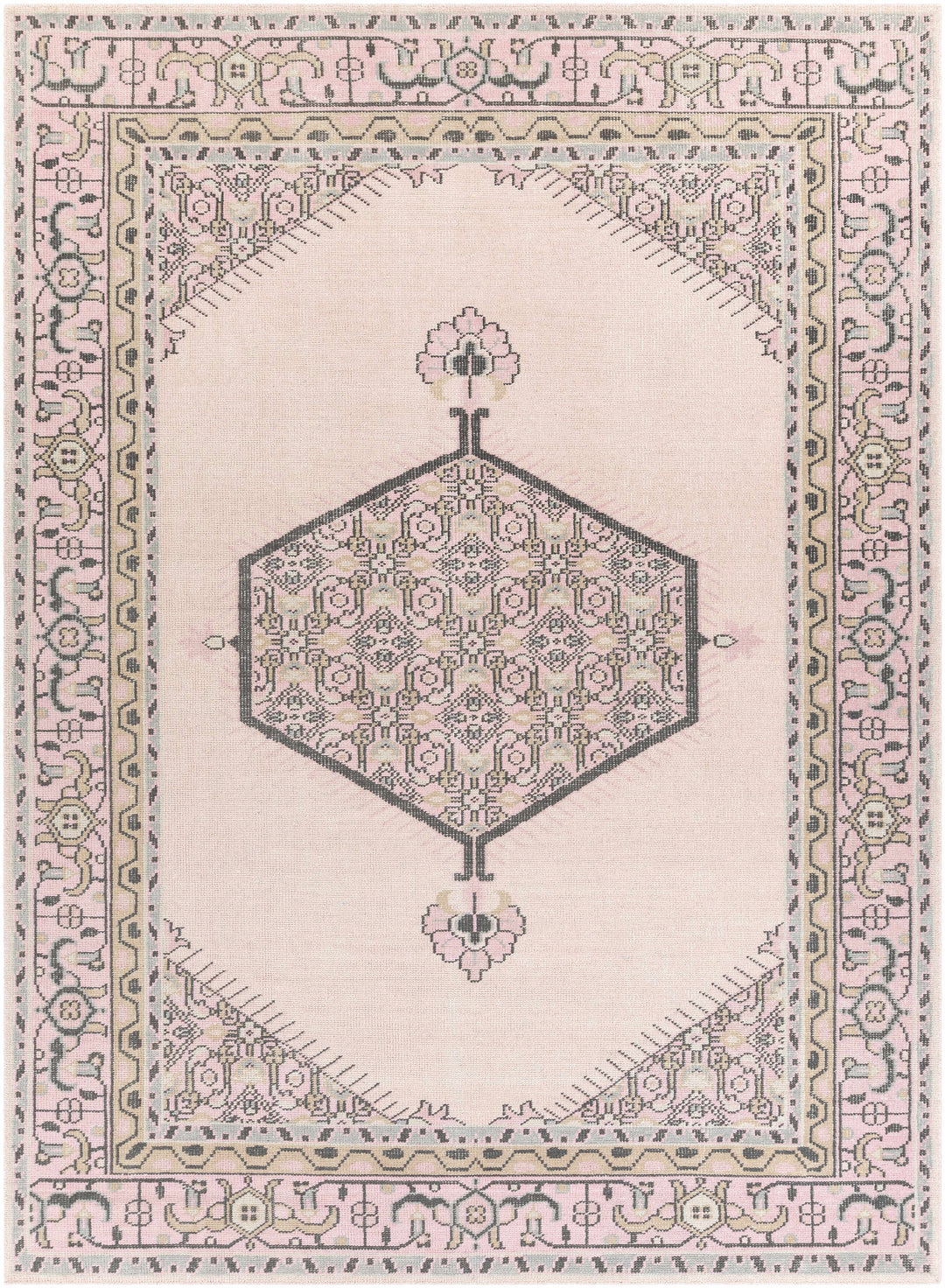 Hickson Traditional Style Pink Hand Knotted Area Rug