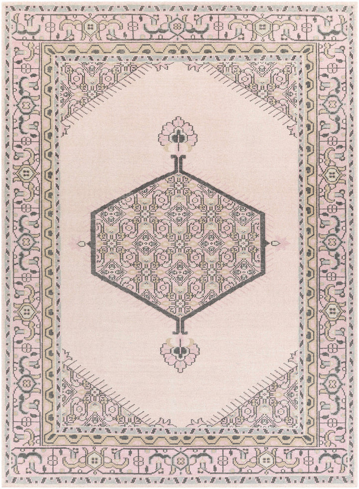 Hickson Traditional Style Pink Hand Knotted Area Rug