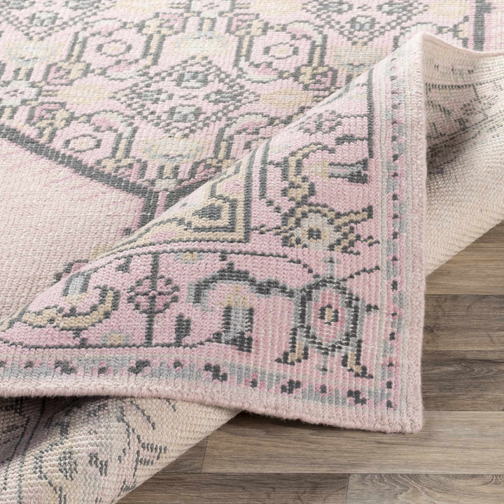 Hickson Traditional Style Pink Hand Knotted Area Rug