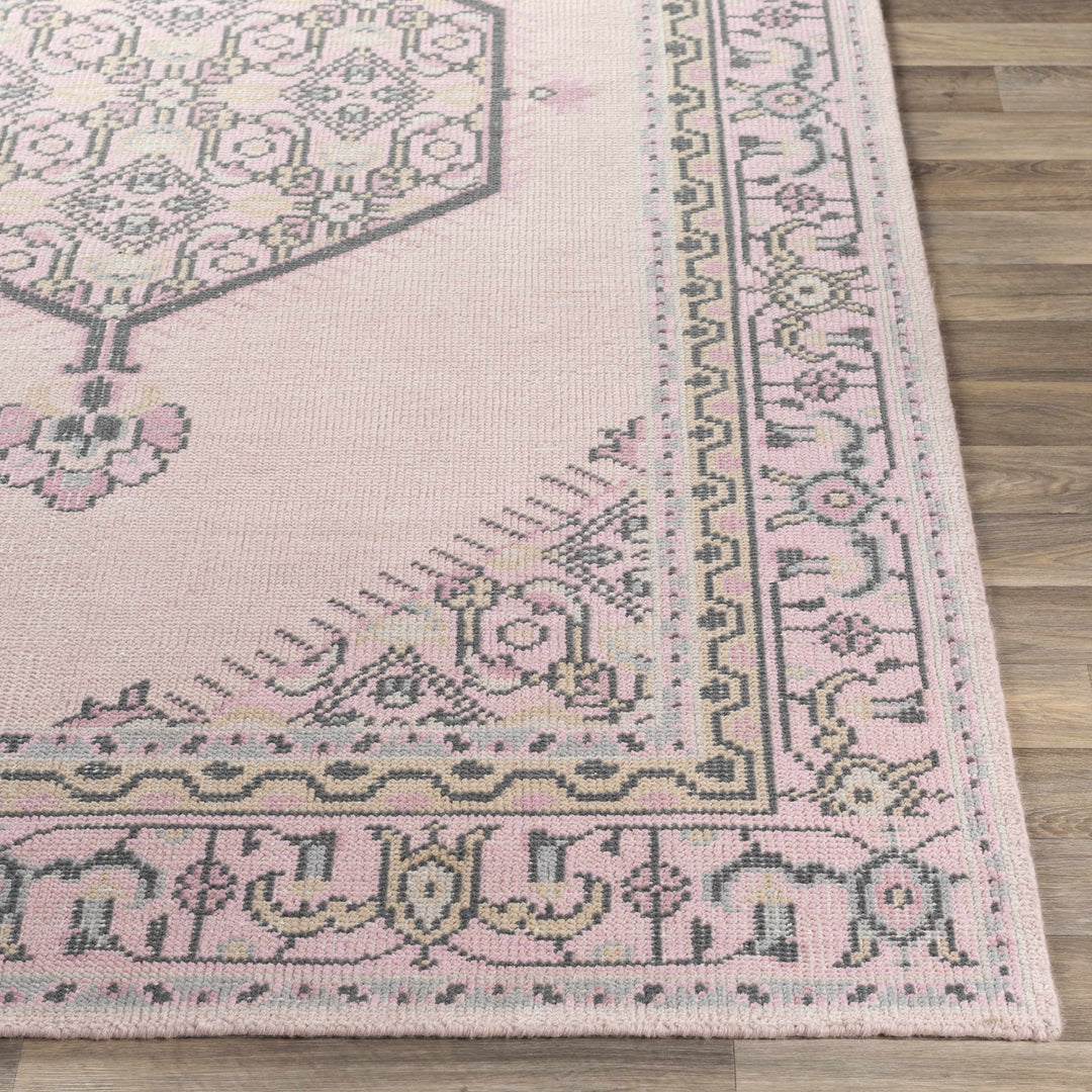 Hickson Traditional Style Pink Hand Knotted Area Rug