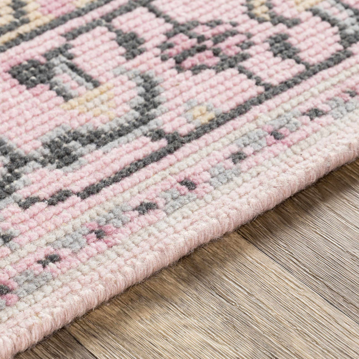Hickson Traditional Style Pink Hand Knotted Area Rug
