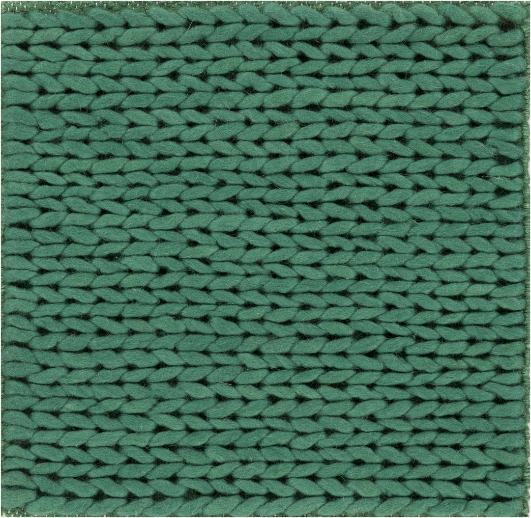 Herod Green Modern Solid Design Hand Woven Area Rug - The Rug Decor