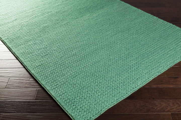 Herod Green Modern Solid Design Hand Woven Area Rug - The Rug Decor