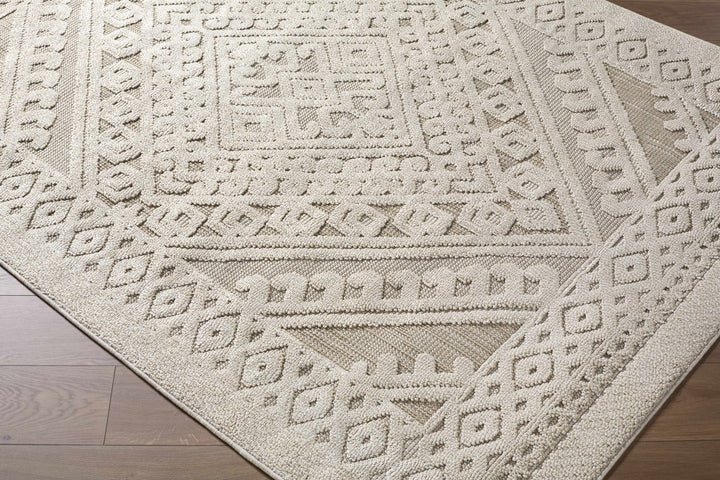 Hibah Beige Traditional Style Outdoor Area Rug - The Rug Decor