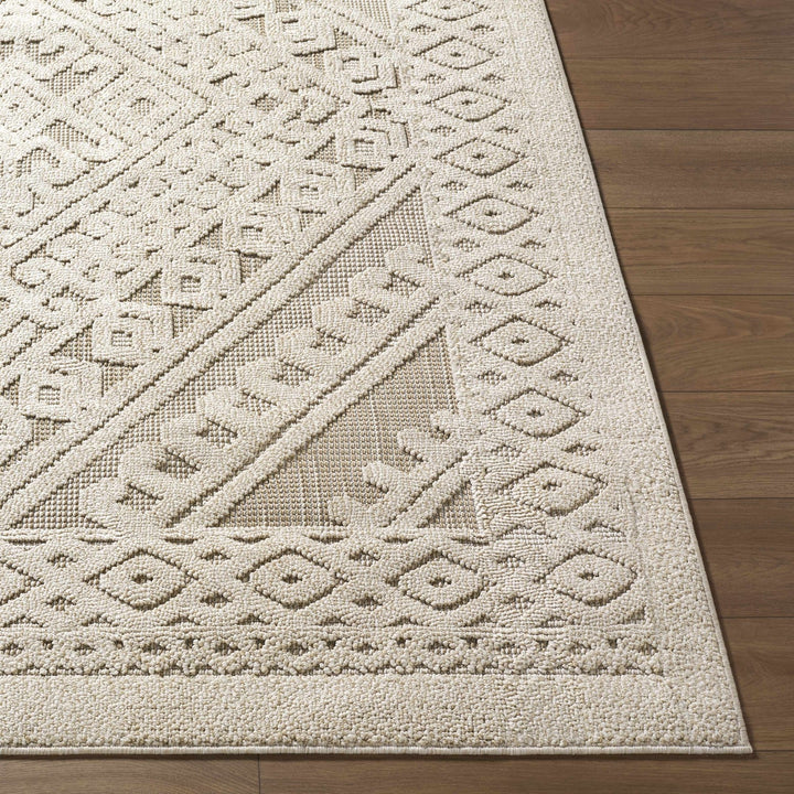 Hibah Beige Traditional Style Outdoor Area Rug - The Rug Decor