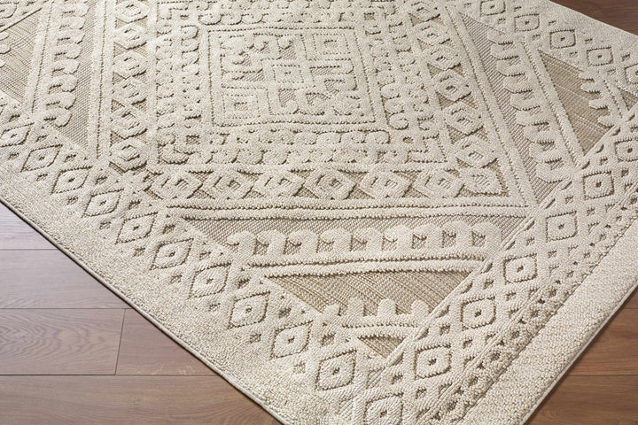 Hibah Beige Traditional Style Outdoor Area Rug - The Rug Decor