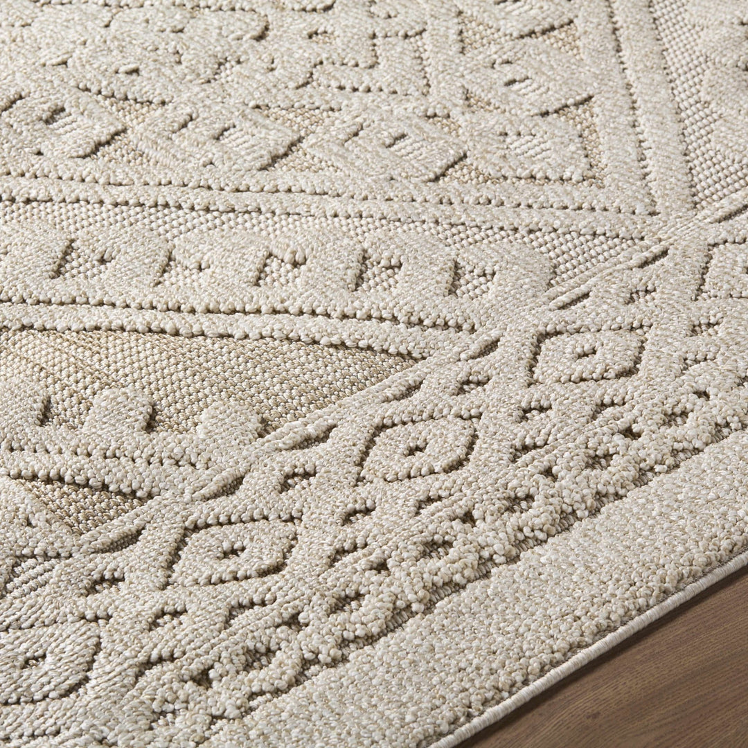 Hibah Beige Traditional Style Outdoor Area Rug - The Rug Decor