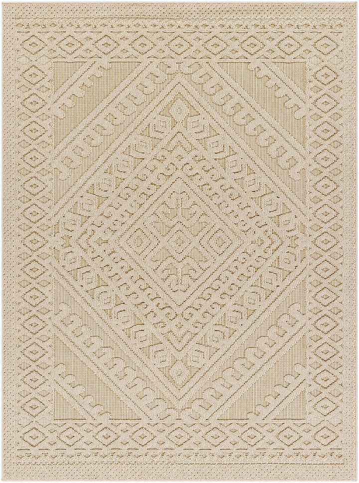 Hibah Beige Traditional Style Outdoor Area Rug - The Rug Decor