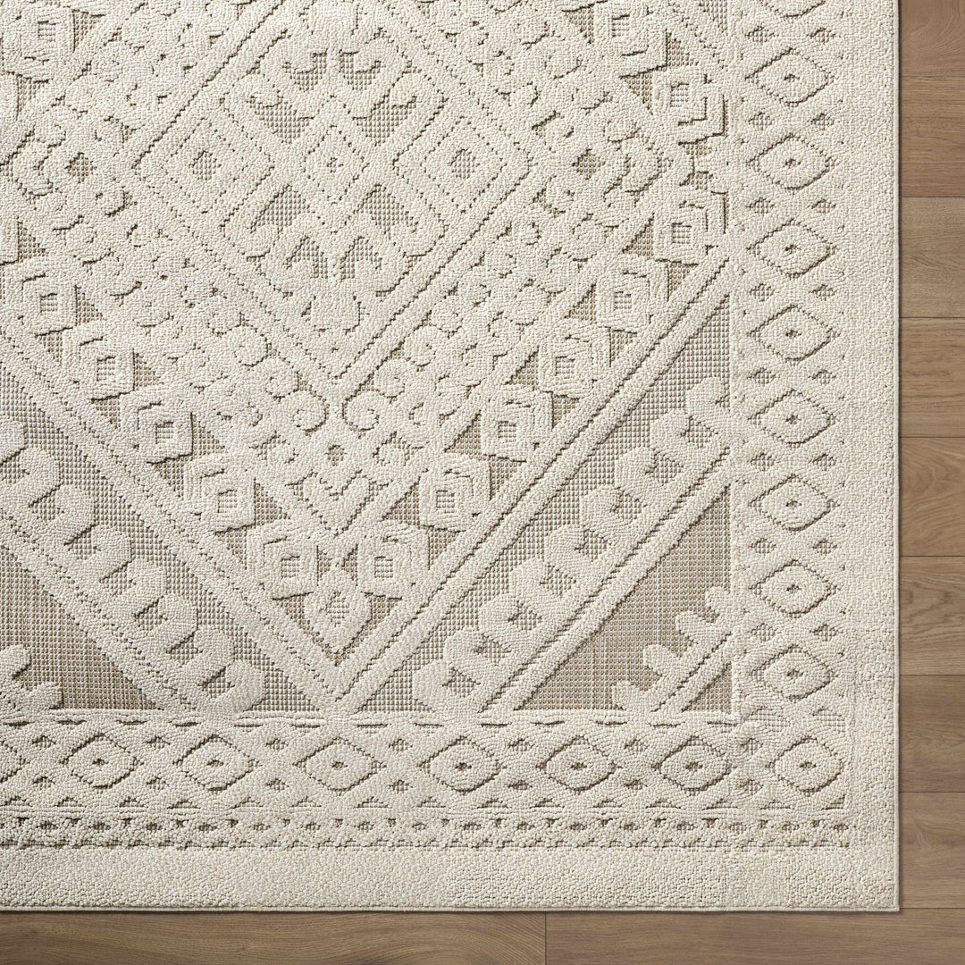 Hibah Beige Traditional Style Outdoor Area Rug - The Rug Decor