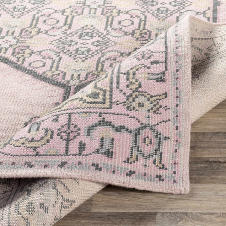 Hickson Traditional Style Pink Hand Knotted Area Rug - The Rug Decor