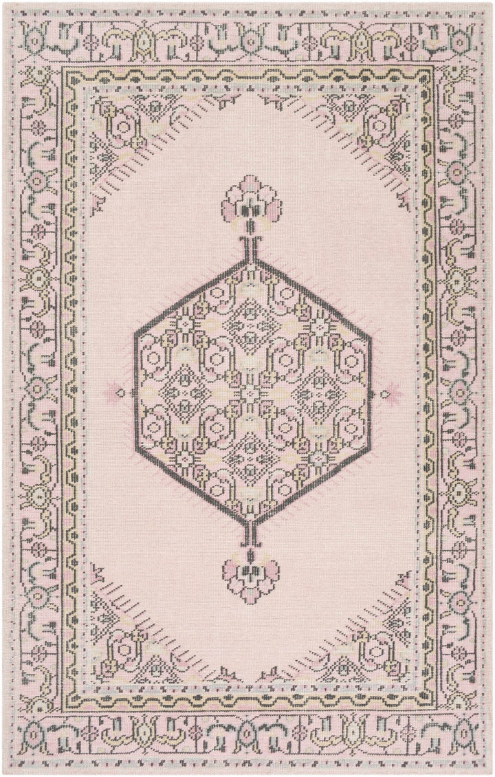 Hickson Traditional Style Pink Hand Knotted Area Rug - The Rug Decor