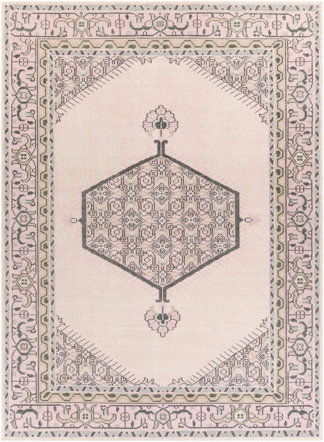 Hickson Traditional Style Pink Hand Knotted Area Rug - The Rug Decor