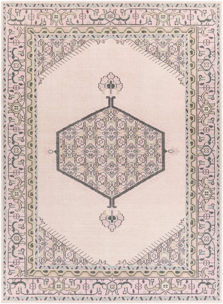 Hickson Traditional Style Pink Hand Knotted Area Rug - The Rug Decor