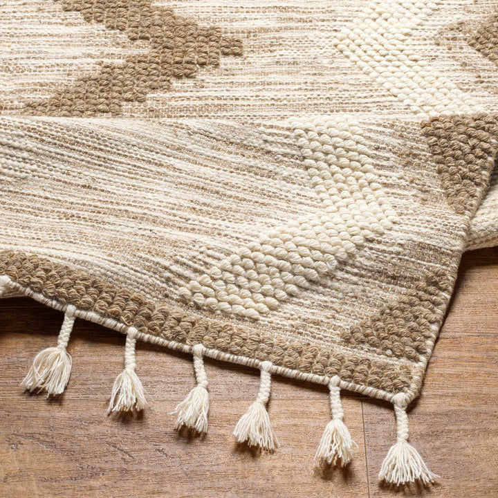 Highpoint Bohemian Style Ivory And Brown Hand Woven Wool Area Rug