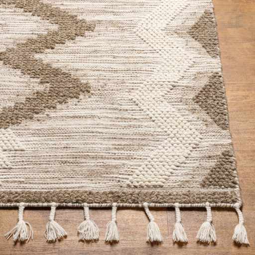 Highpoint Bohemian Style Ivory And Brown Hand Woven Wool Area Rug