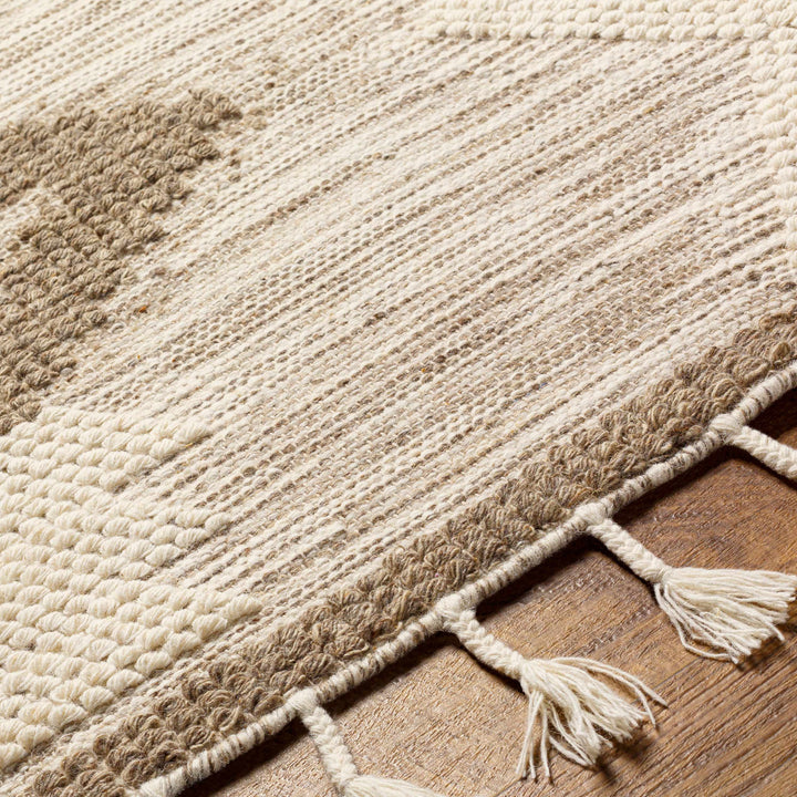 Highpoint Bohemian Style Ivory And Brown Hand Woven Wool Area Rug