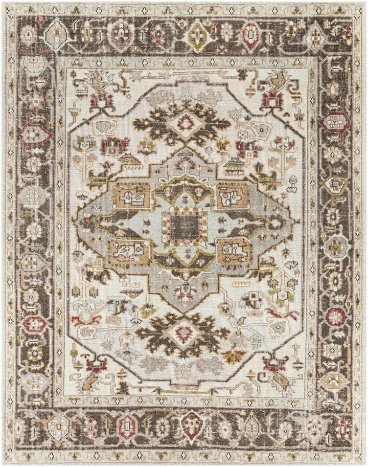 Hinapalanan Traditional Brown And Ivory Hand Knotted Outdoor Area Rug - The Rug Decor