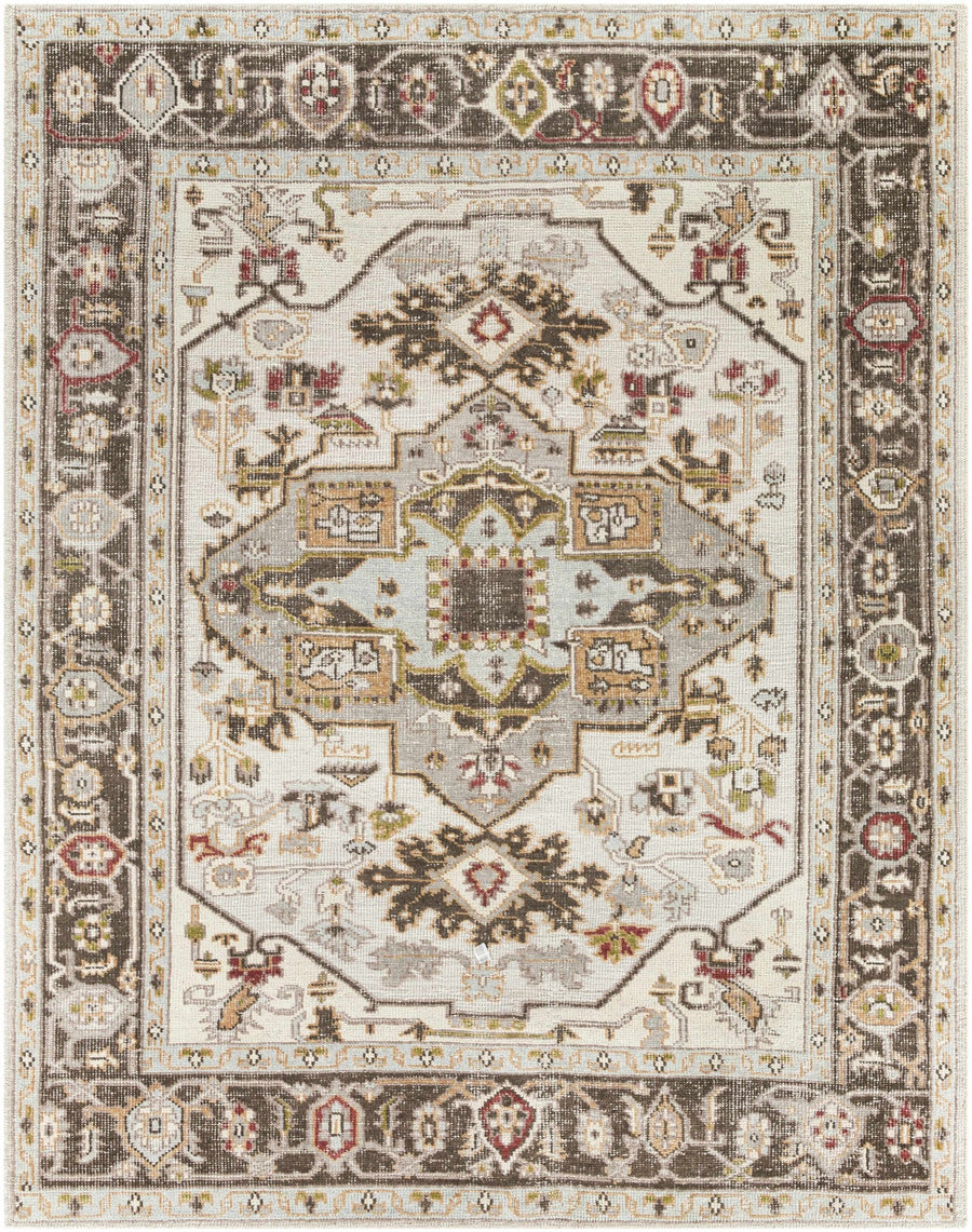 Hinapalanan Traditional Brown And Ivory Hand Knotted Outdoor Area Rug - The Rug Decor