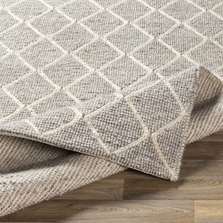 Hindley Modern Style Gray Hand Woven Area Rug