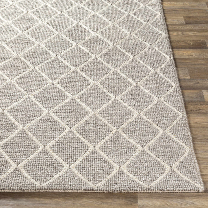Hindley Modern Style Gray Hand Woven Area Rug