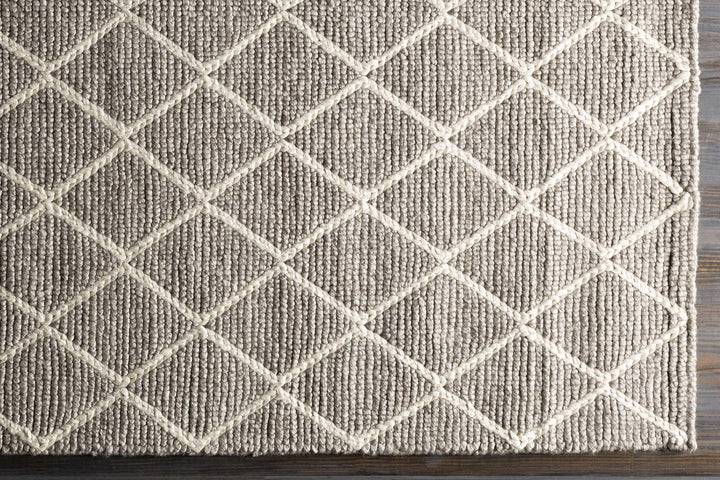 Hindley Modern Style Gray Hand Woven Area Rug