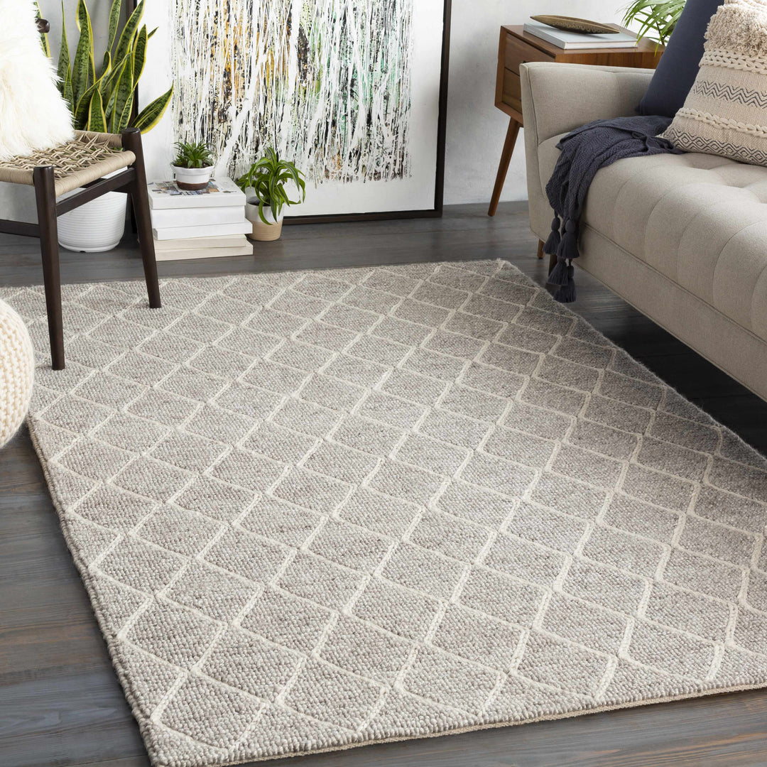 Hindley Modern Style Gray Hand Woven Area Rug