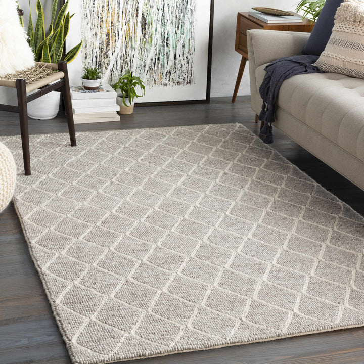 Hindley Modern Style Gray Hand Woven Area Rug