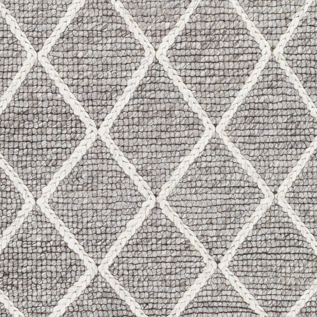 Hindley Modern Style Gray Hand Woven Area Rug
