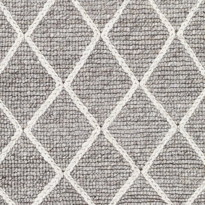 Hindley Modern Style Gray Hand Woven Area Rug