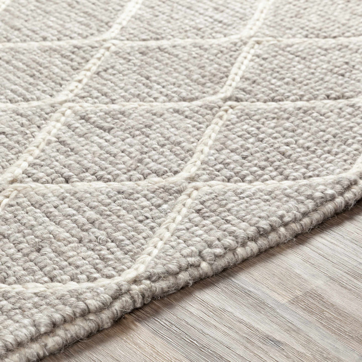 Hindley Modern Style Gray Hand Woven Area Rug