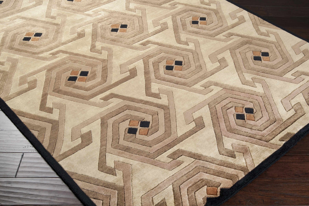 Hisle Modern Style Brown And Beige Hand Knotted Area Rug