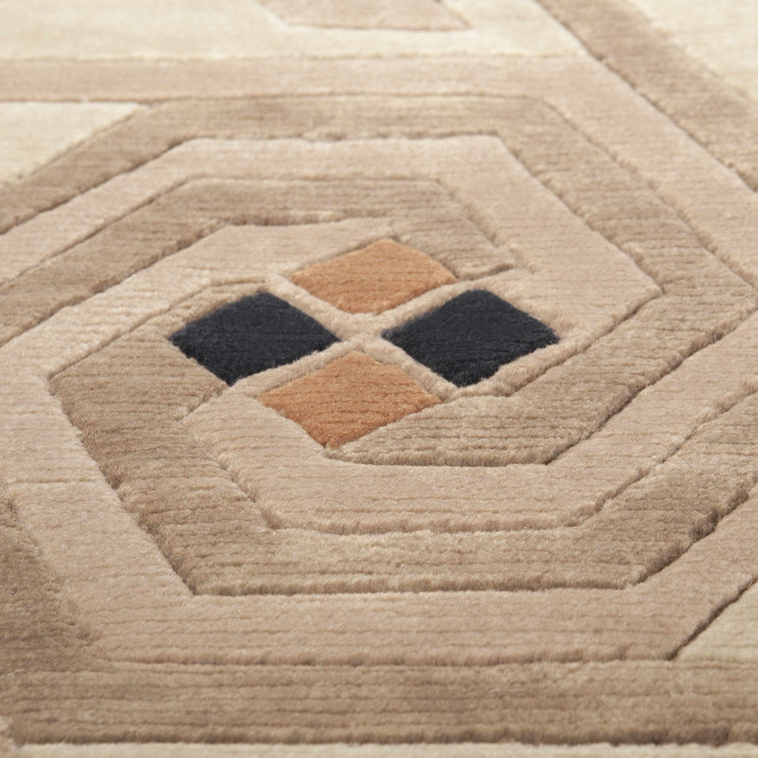 Hisle Modern Style Brown And Beige Hand Knotted Area Rug